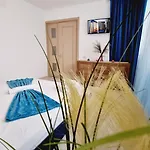 Kyd Vila - Studiouri Si Apartamente La 100M De Plaja Debarcader 3*