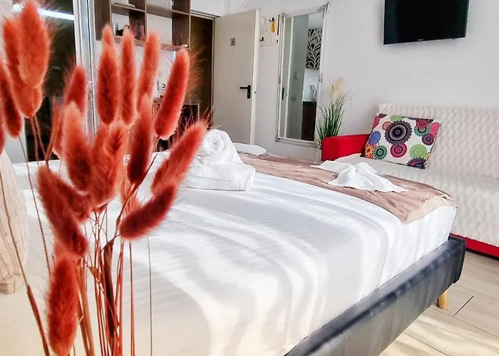 Pensiune Kyd House Studiouri Si La 100 De M De Plaja Debarcader 3*