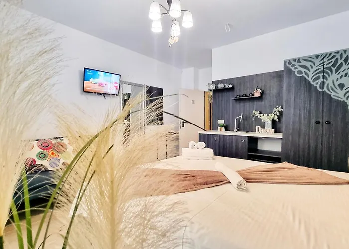 Pensiune Kyd House Studiouri Si La 100 De M De Plaja Debarcader