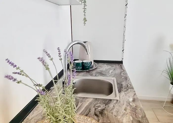 Pensiune Kyd House Studiouri Si La 100 De M De Plaja Debarcader