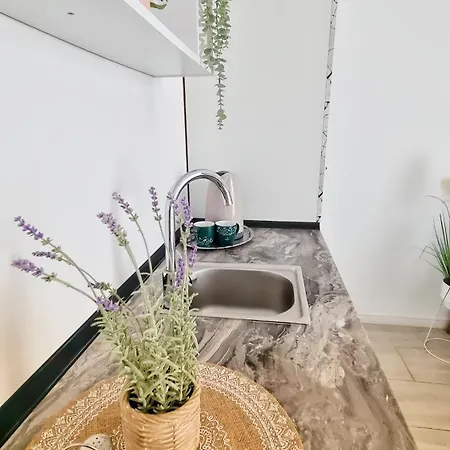 بيت ضيافة Kyd House