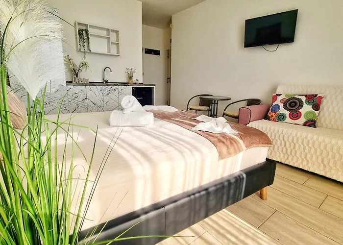 Kyd House Studiouri Si La 100 De M De Plaja Debarcader