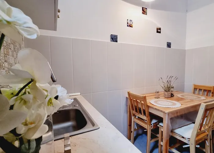 Kyd House Studiouri Si La 100 De M De Plaja Debarcader Vendégház Észak-Eforie